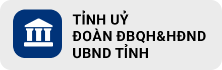 tỉnh uỷ DBQH.png